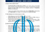 prepare a comprehensive stock valuation report using company financial statement